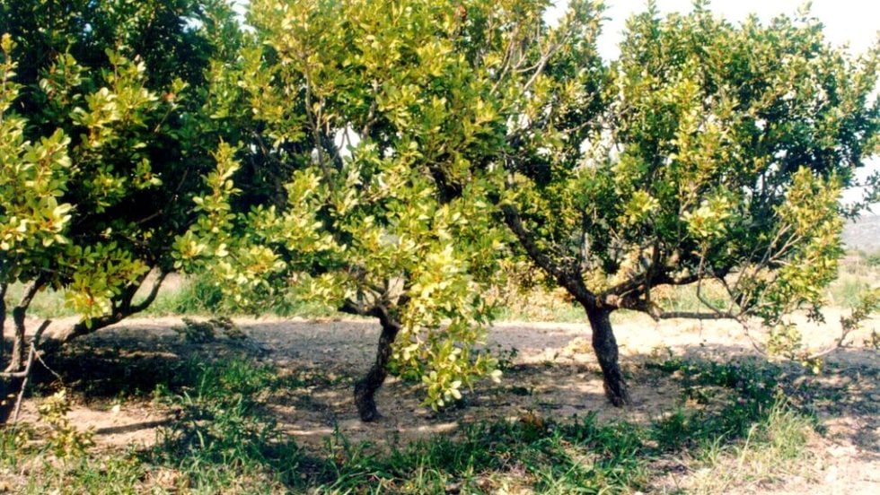 Εντονες αντιπαραθέσεις για τις αλλαγές στο καταστατικό